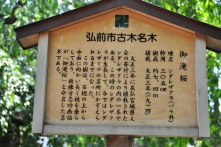 イメージ 8