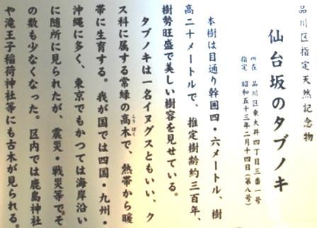 イメージ 11