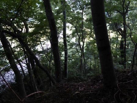 イメージ 26