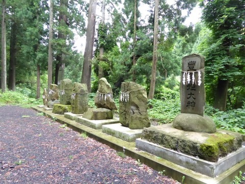 29