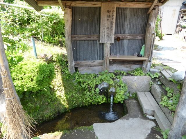 イメージ 5