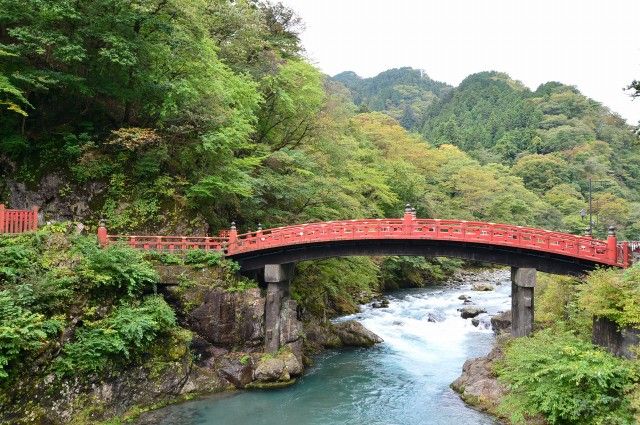 神橋 Mt. Fuji View Zip Line, Mishima Skywalk, & Forest Adventure Set