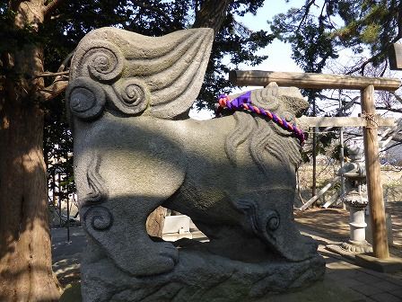 イメージ 7