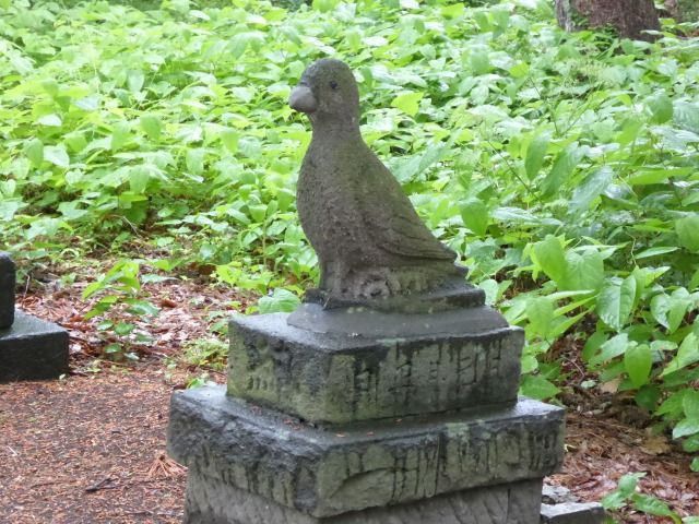 イメージ 13