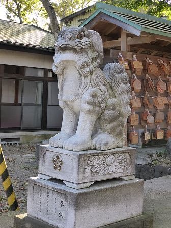 イメージ 9