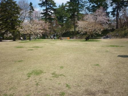 イメージ 18