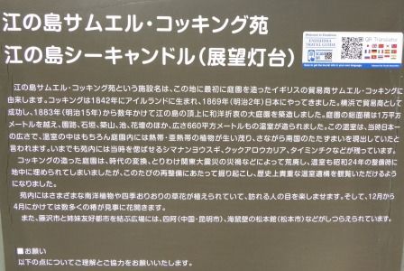 イメージ 41