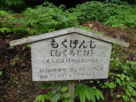 イメージ 33