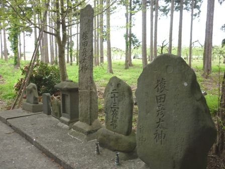 イメージ 10