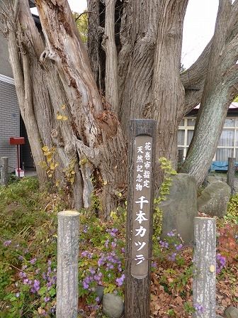 イメージ 18
