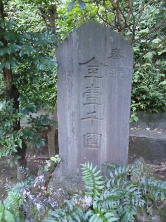 イメージ 39