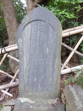 イメージ 17