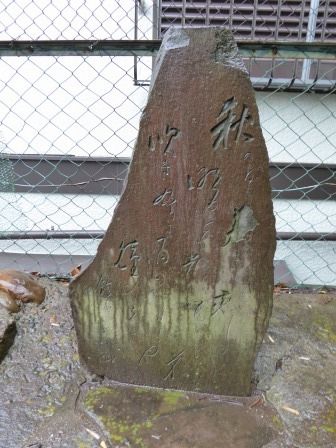 イメージ 25