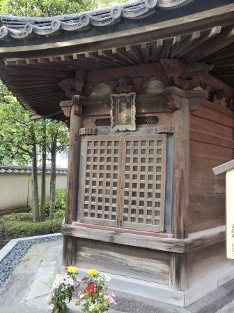 イメージ 7