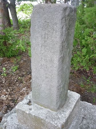 イメージ 17