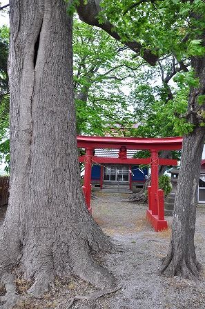 イメージ 3