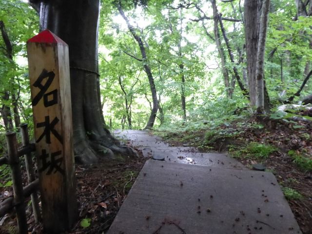 イメージ 55