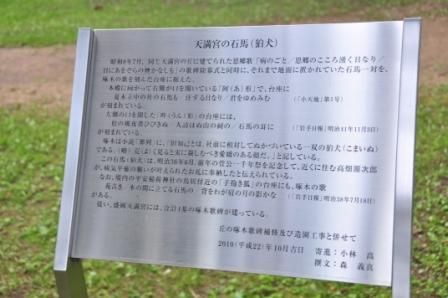 イメージ 43