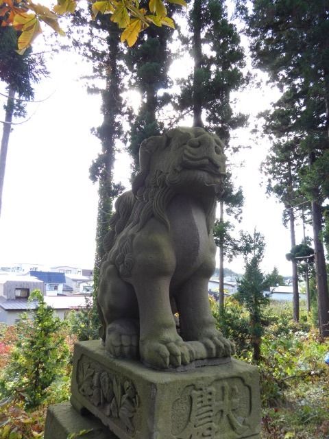 イメージ 28