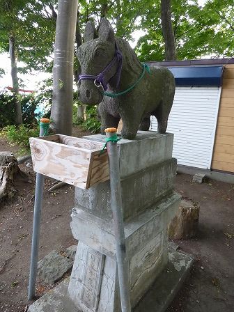 イメージ 12