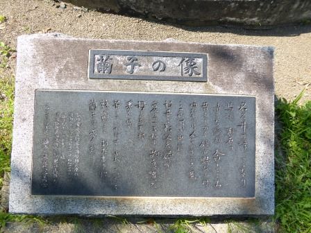 イメージ 45