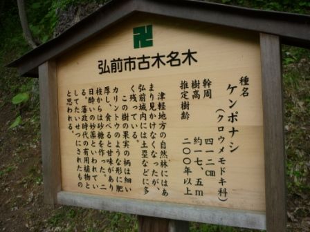 イメージ 5