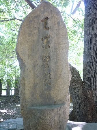 イメージ 47