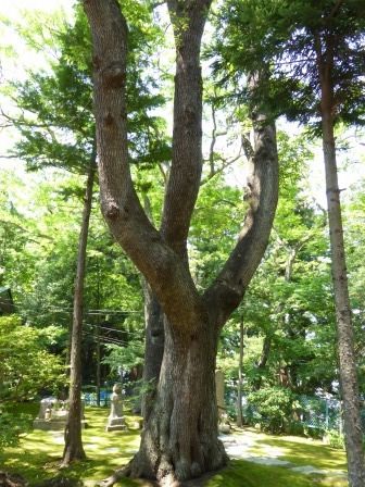 イメージ 65