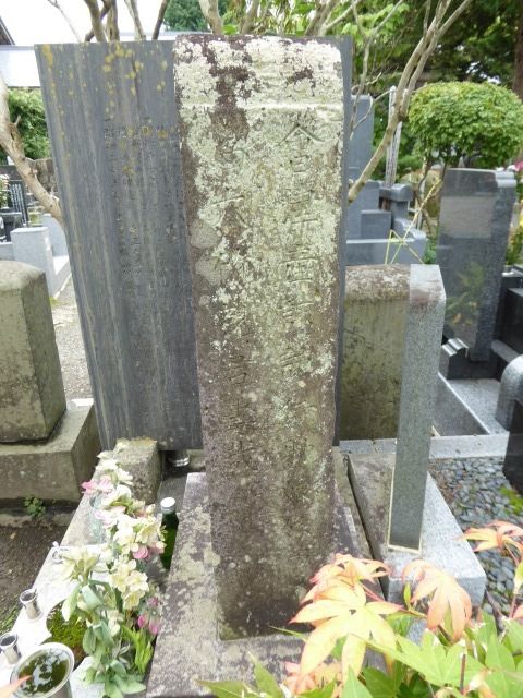イメージ 5