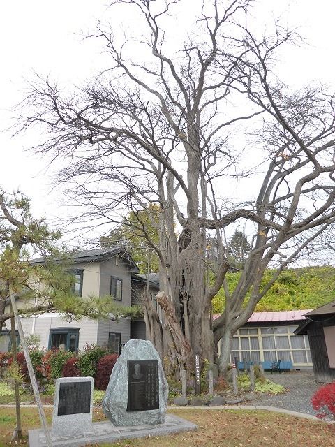 イメージ 15