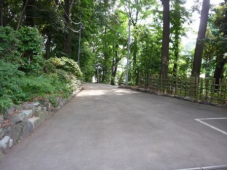 イメージ 18