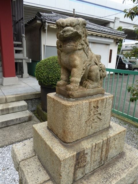 イメージ 11