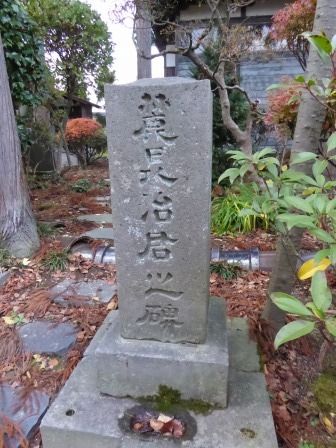 イメージ 49