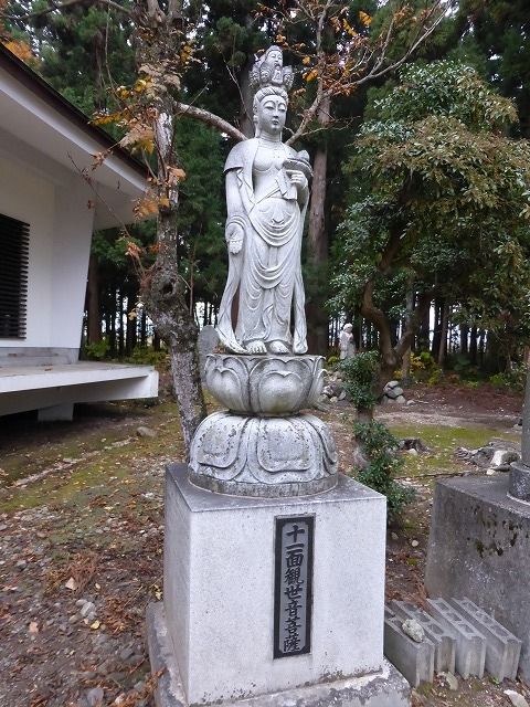 イメージ 14