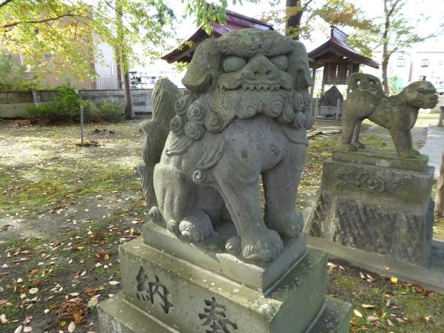 イメージ 15