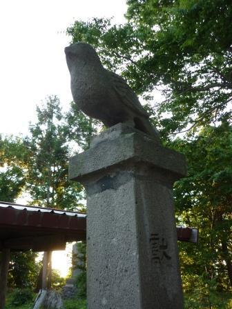 イメージ 9