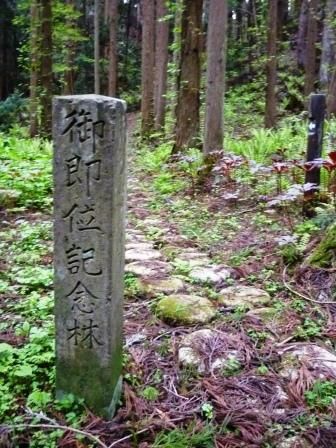 イメージ 35