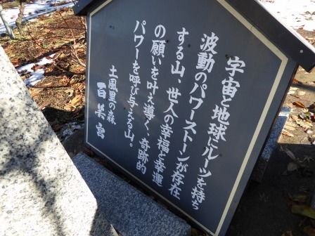 イメージ 7