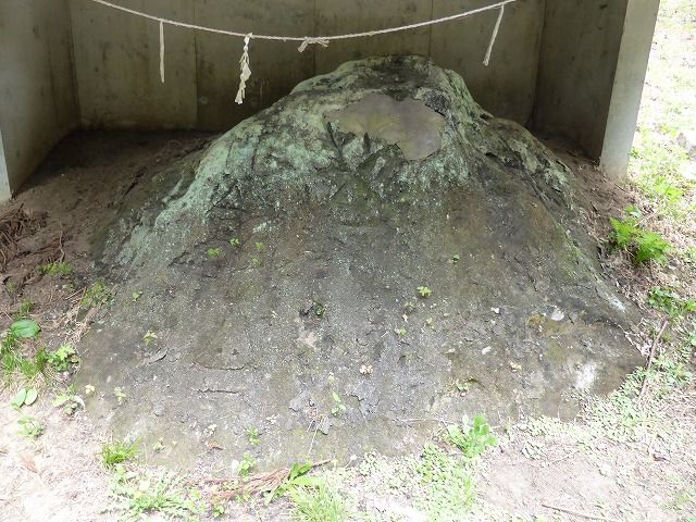 イメージ 17