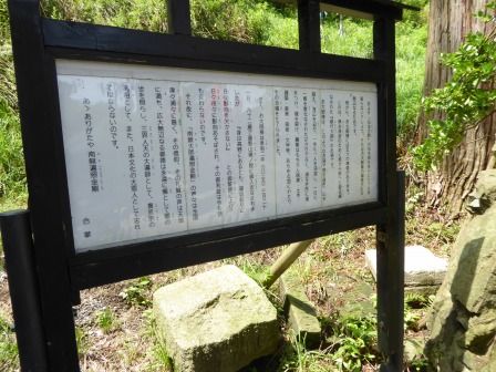 イメージ 50