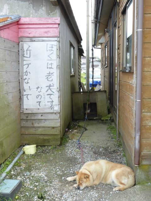 イメージ 14