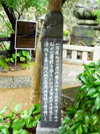 イメージ 11