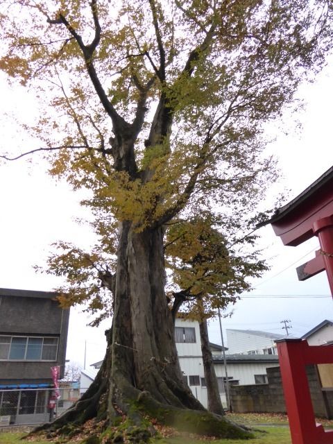 イメージ 15