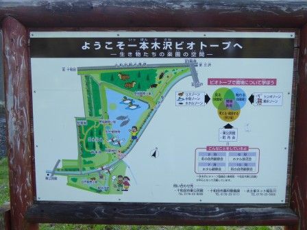 イメージ 16