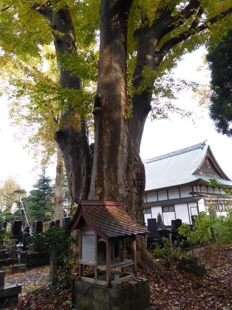 イメージ 26