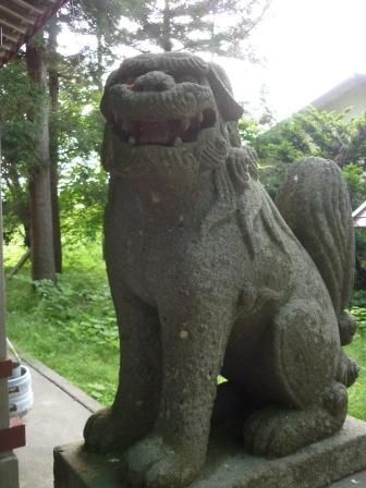 イメージ 6