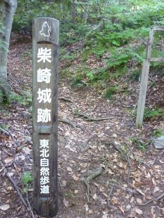 イメージ 12