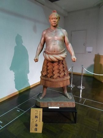 イメージ 8