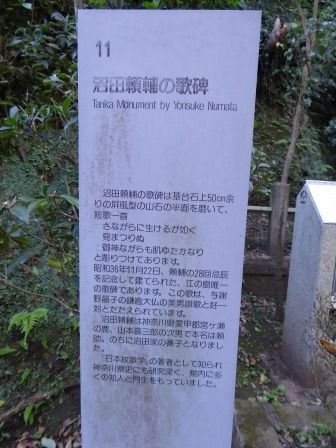 イメージ 30