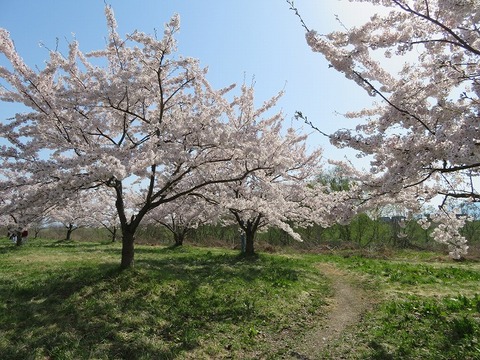 8.4